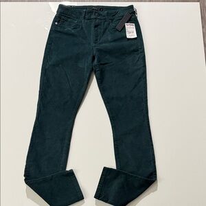 Joe's Jeans Women size 27 Green Skinny Visionaire Denim Stretch